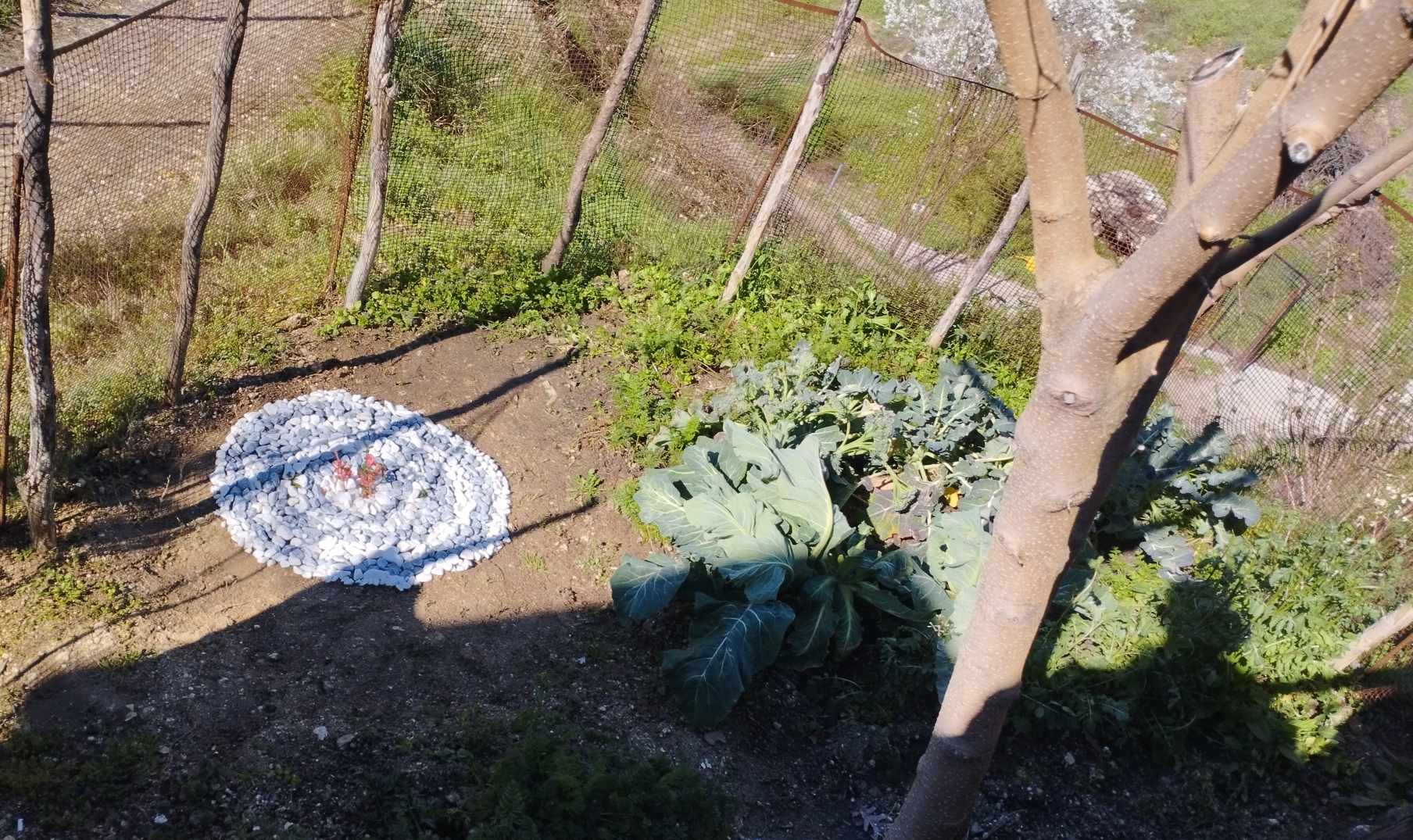 land art_μαθητική εβδομάδα δράσης 2025
